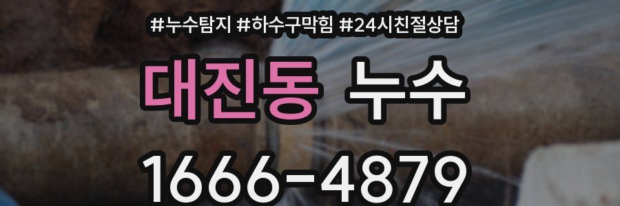 대진동 누수