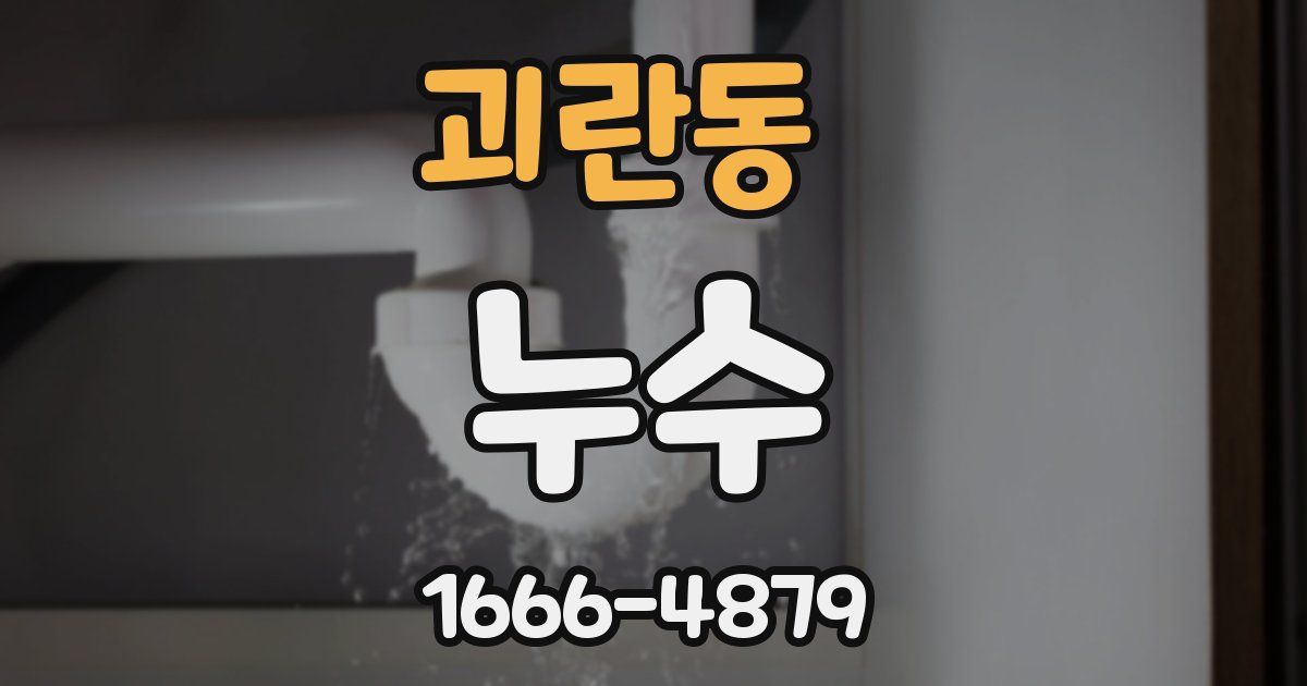 괴란동 누수