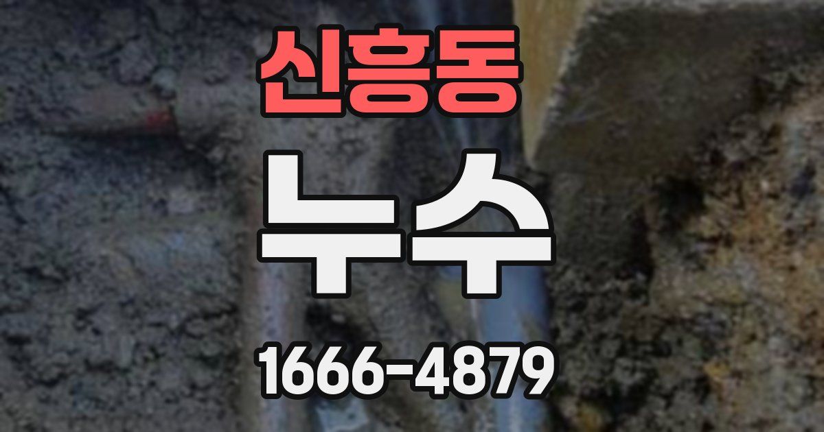 신흥동 누수