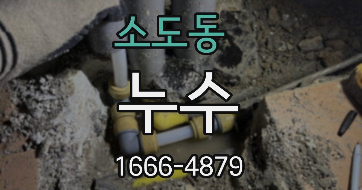 소도동 누수