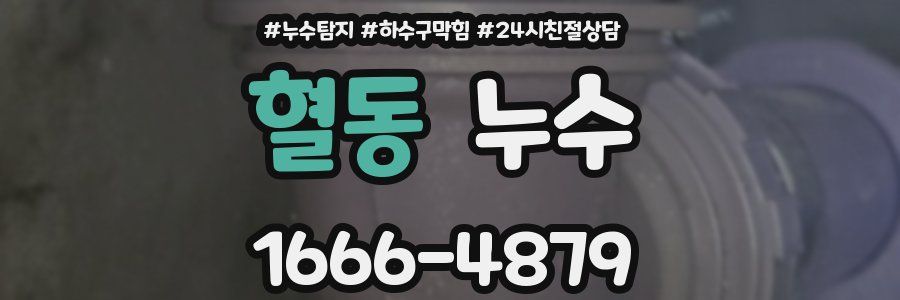 혈동 누수