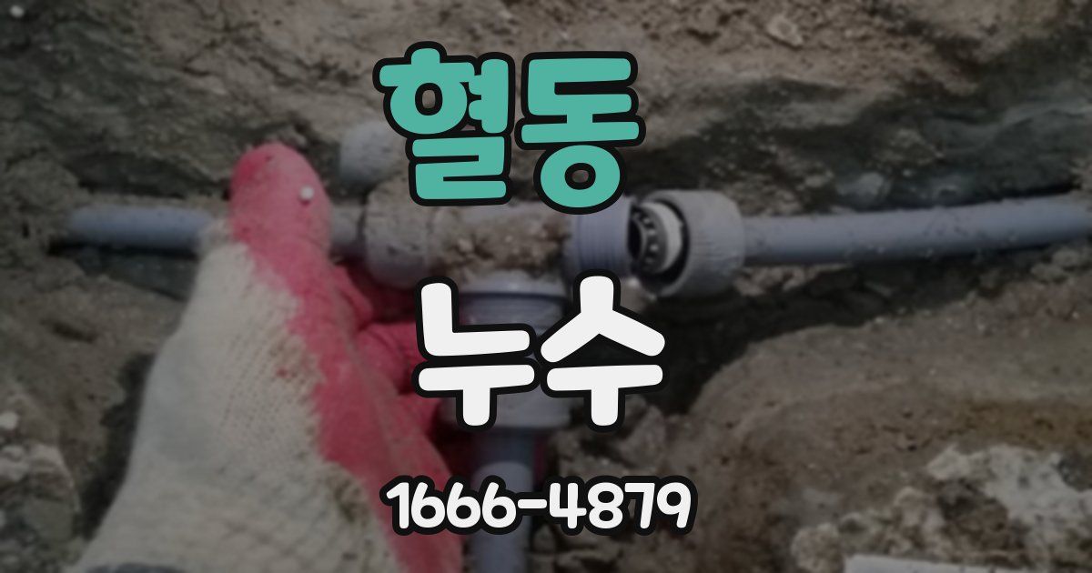 혈동 누수