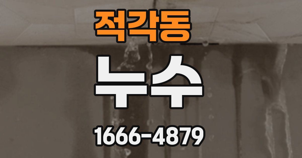 적각동 누수
