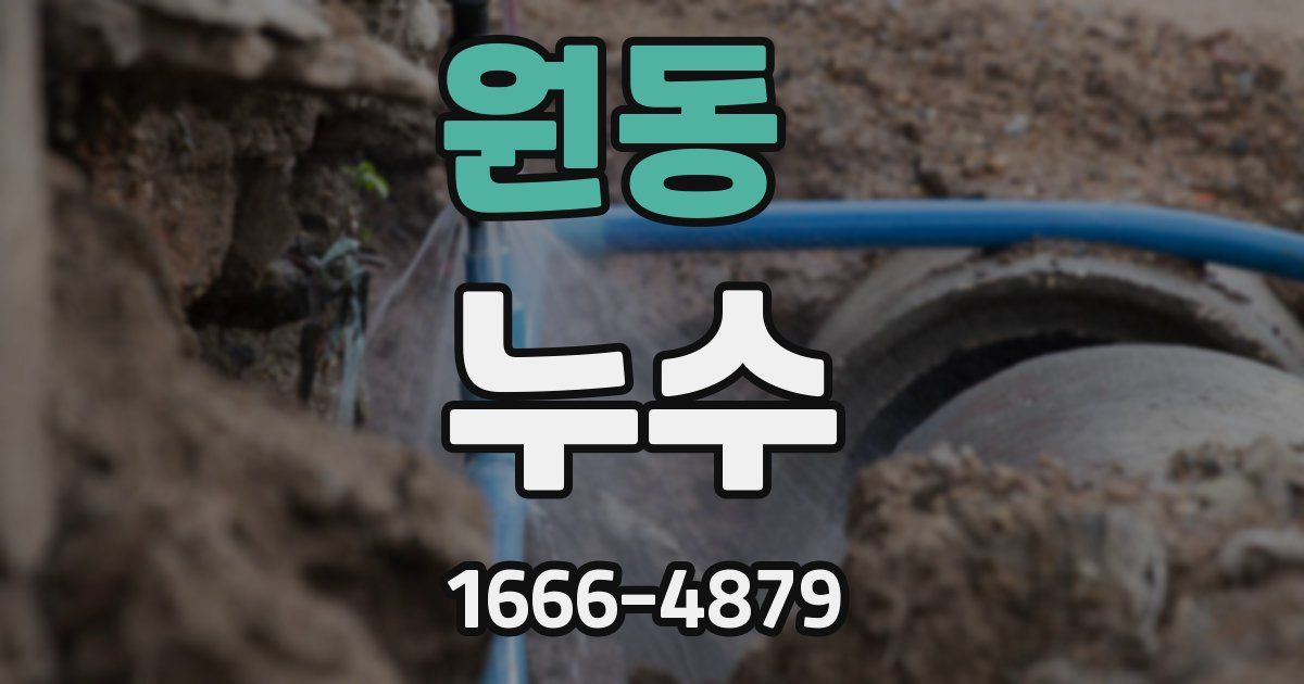 원동 누수
