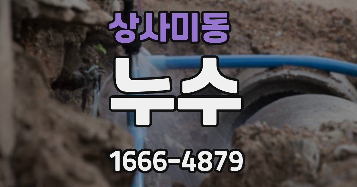 상사미동 누수