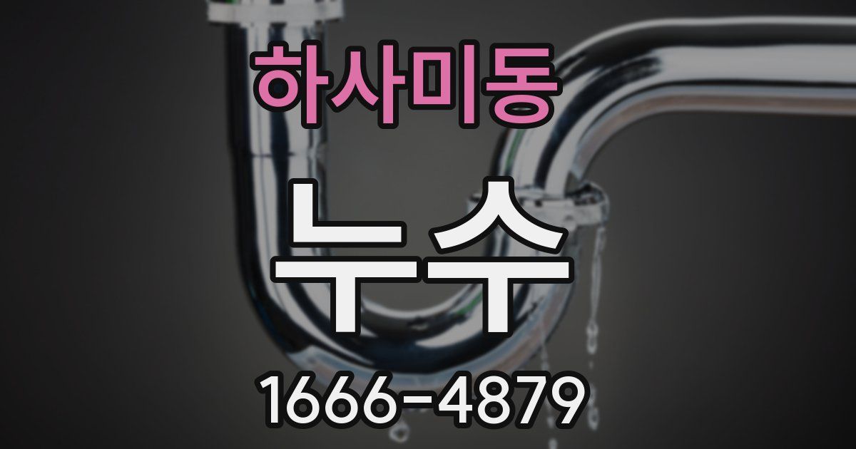 하사미동 누수