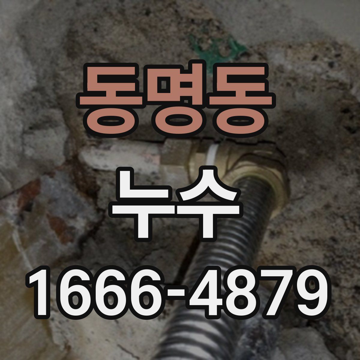 동명동 누수