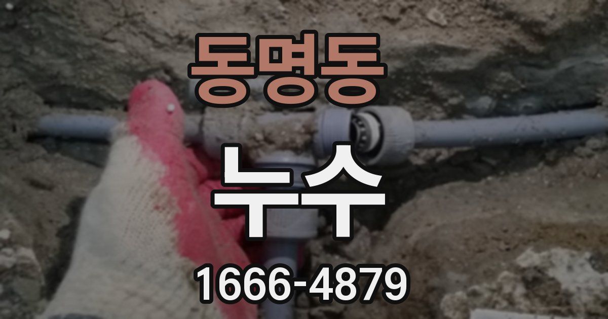 동명동 누수