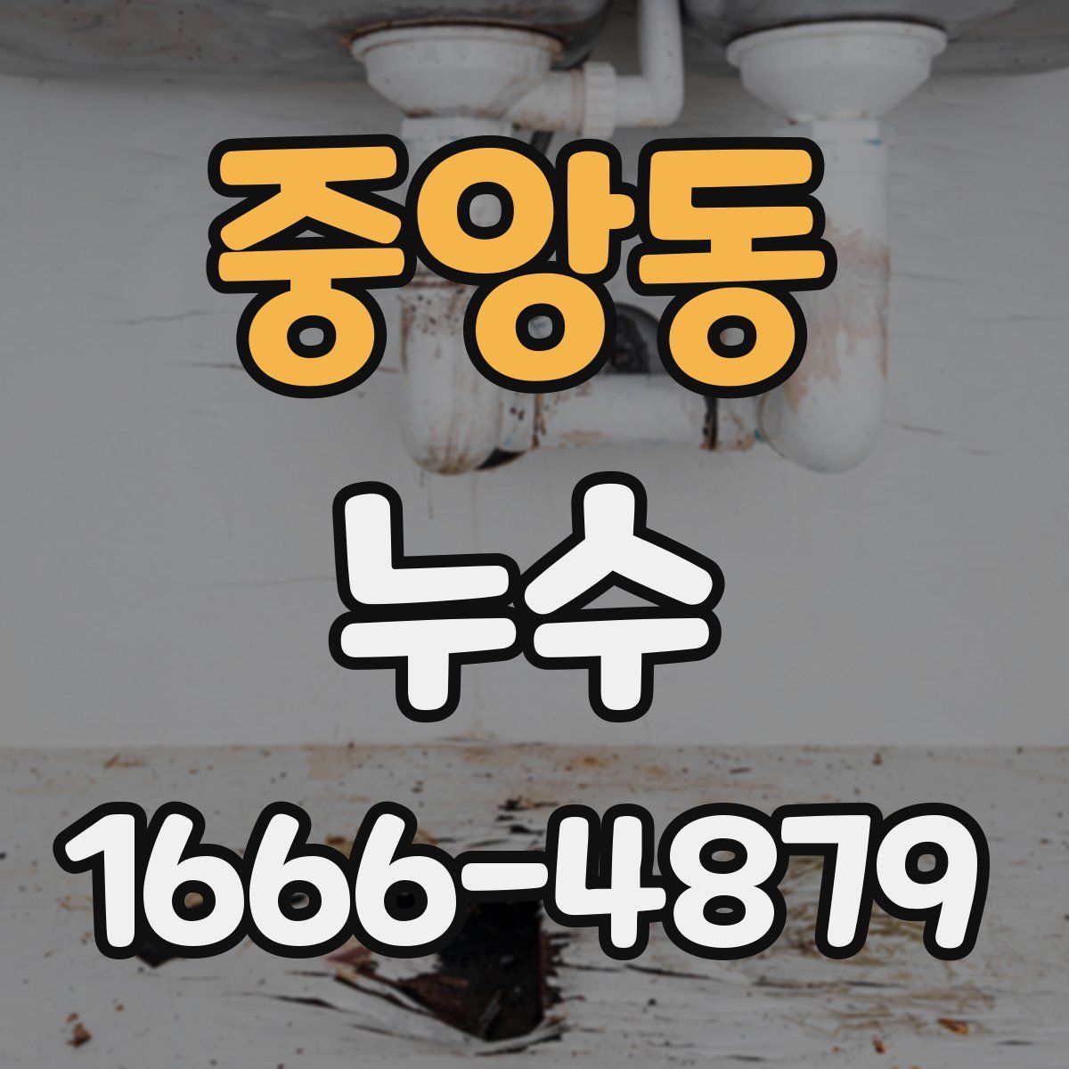 중앙동 누수