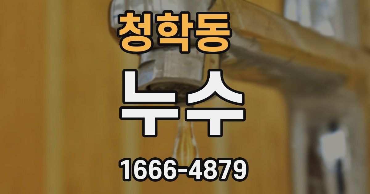청학동 누수