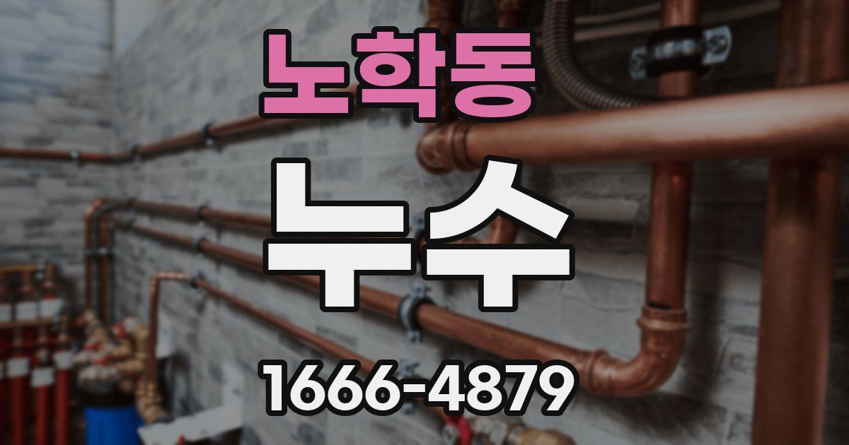 노학동 누수