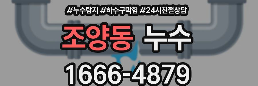 조양동 누수