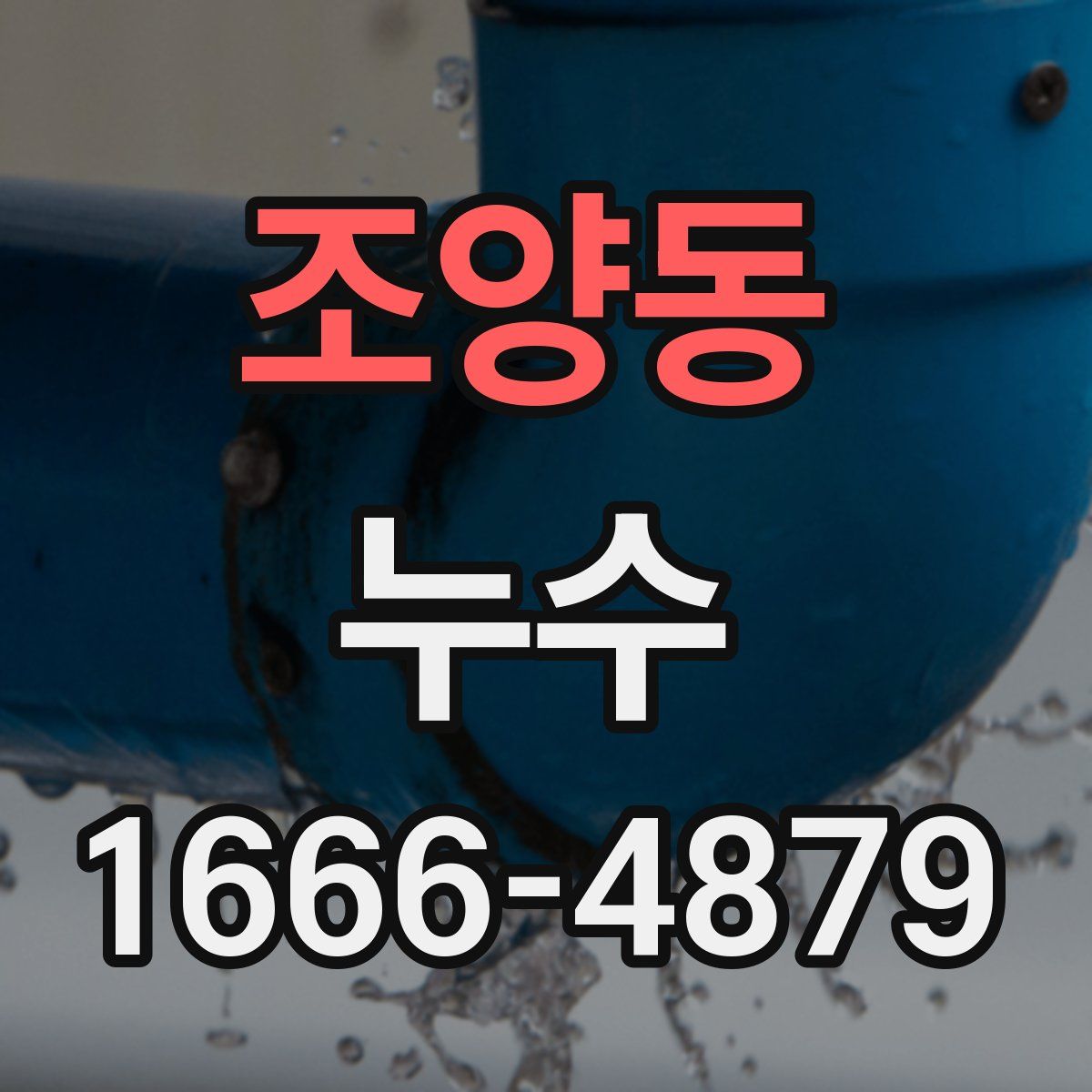 조양동 누수