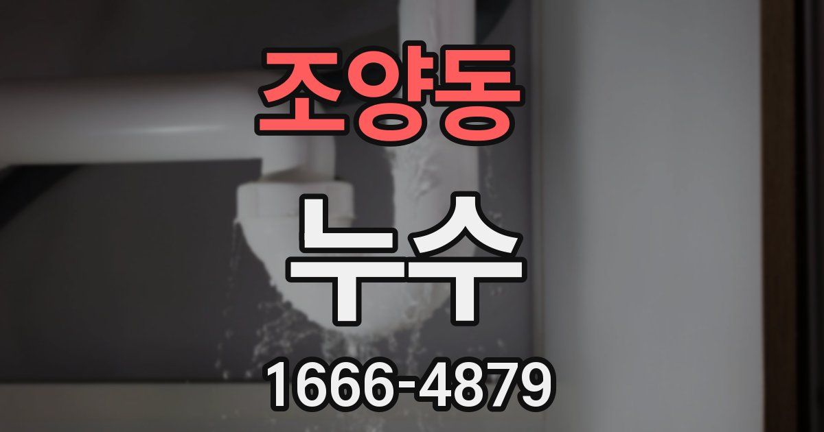 조양동 누수