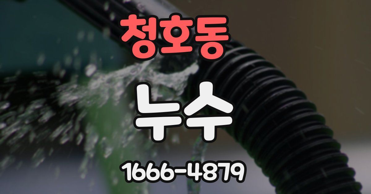 청호동 누수