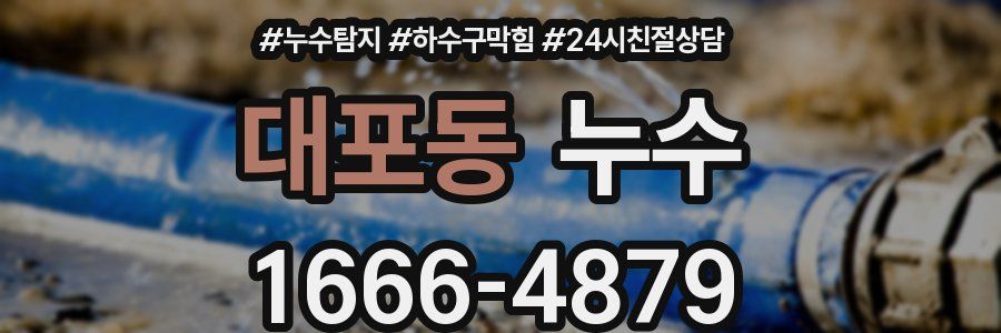 대포동 누수
