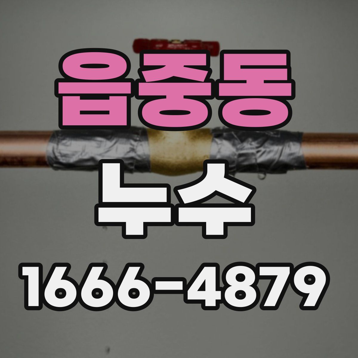 읍중동 누수