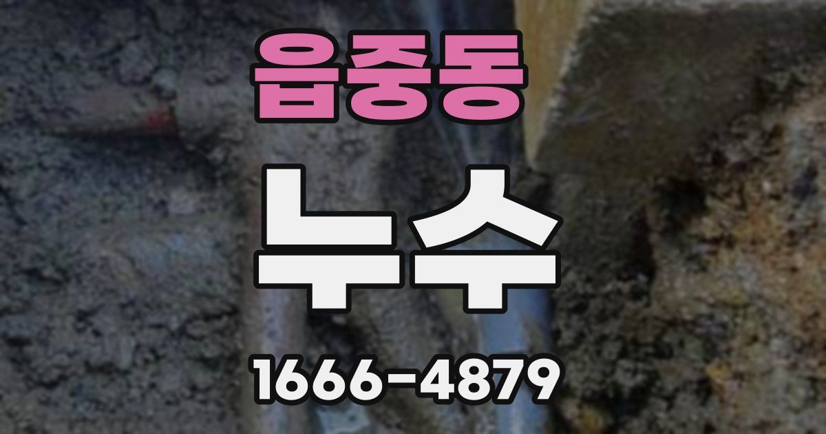 읍중동 누수