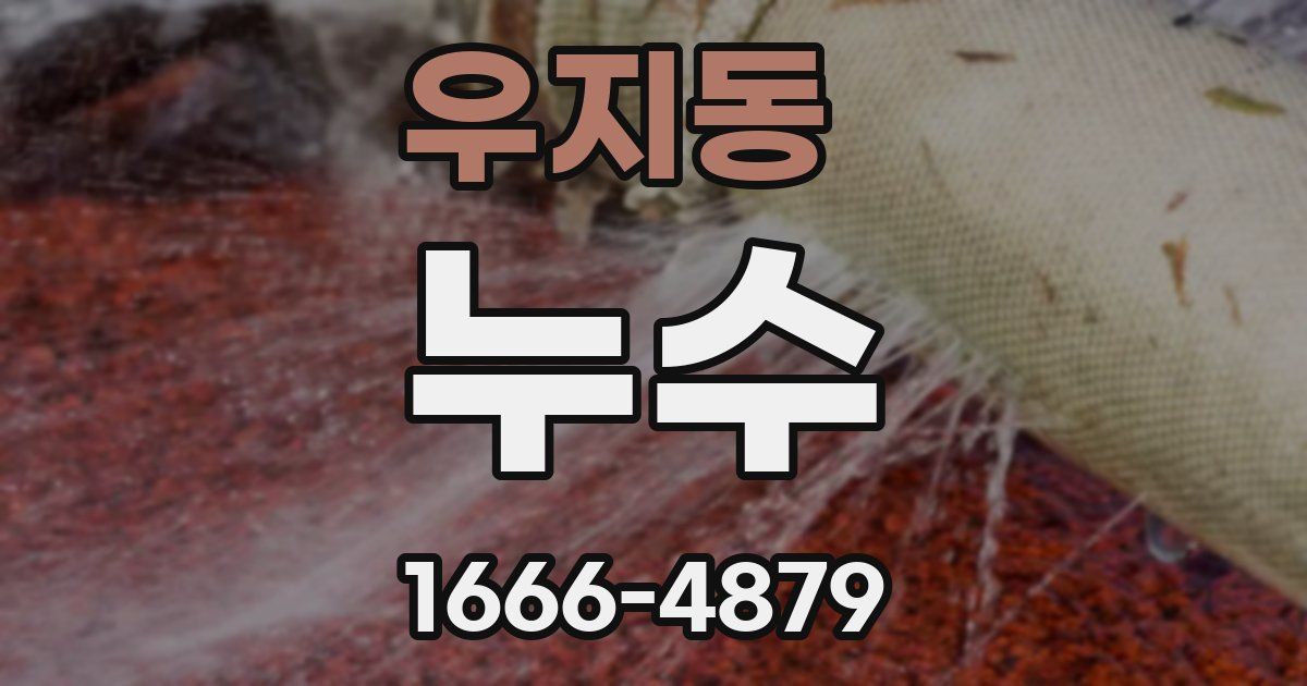 우지동 누수