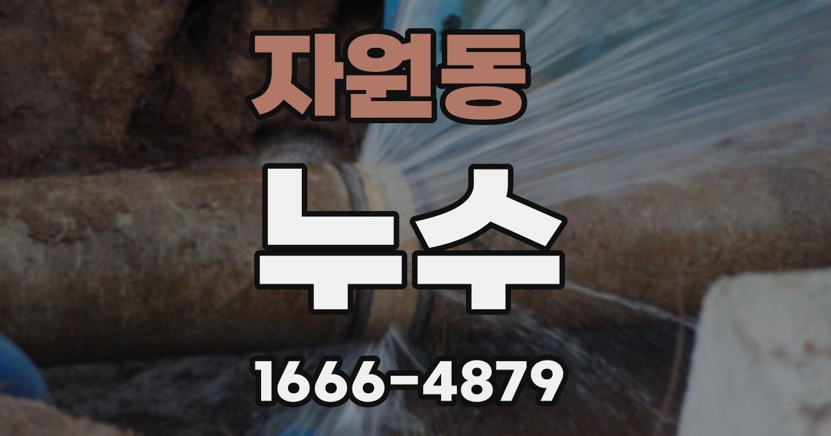 자원동 누수