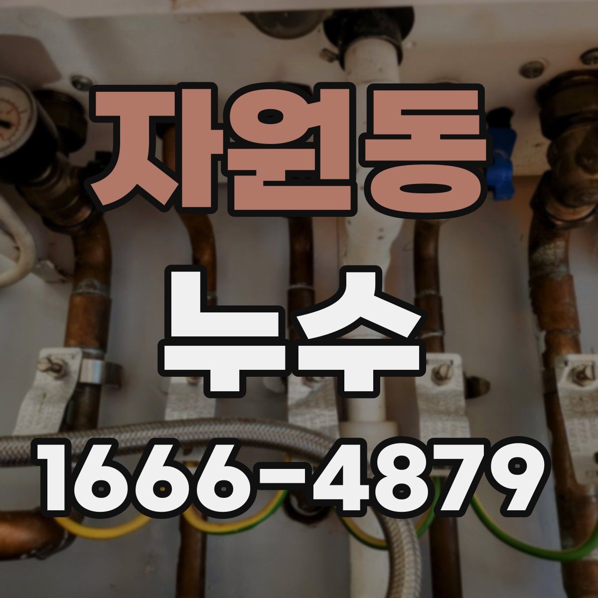 자원동 누수
