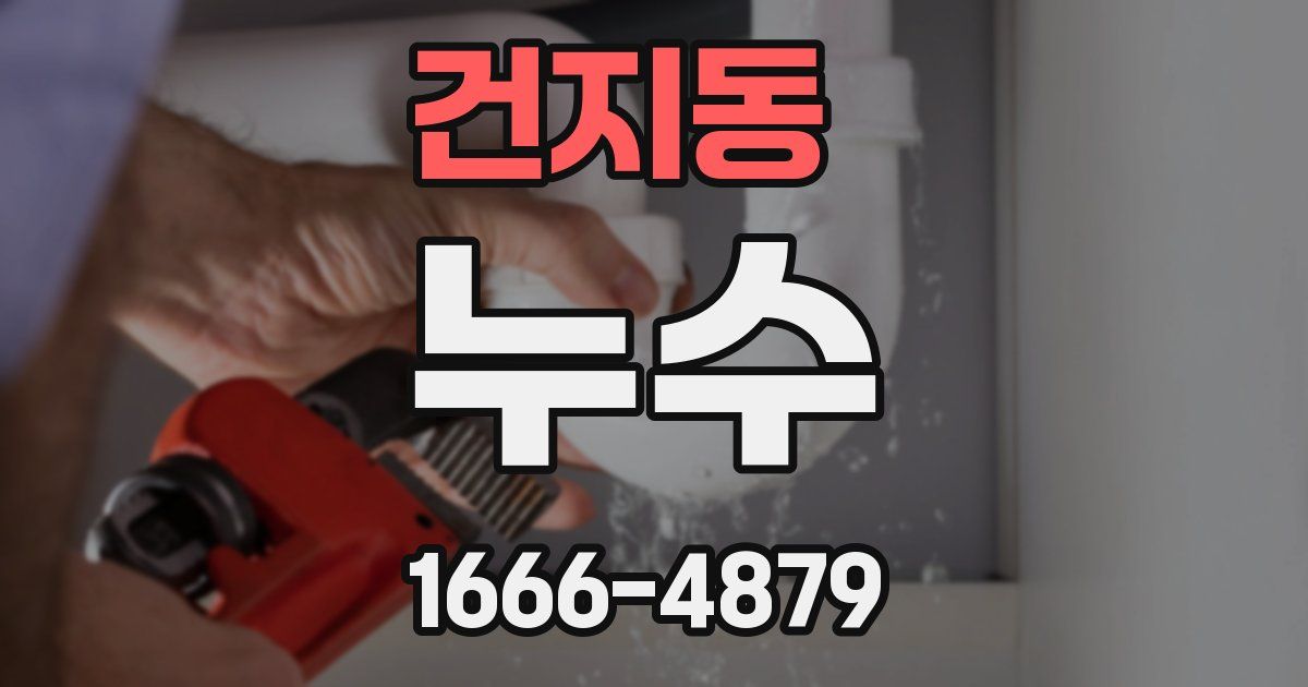 건지동 누수