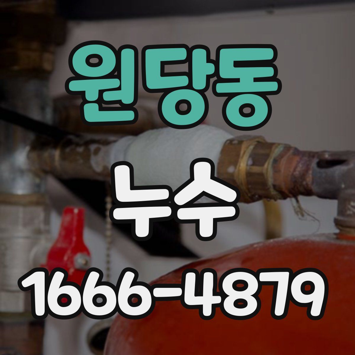 원당동 누수