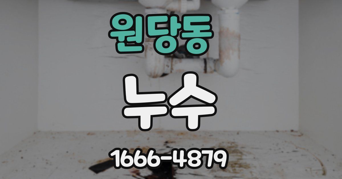 원당동 누수