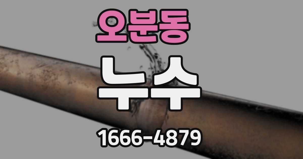 오분동 누수