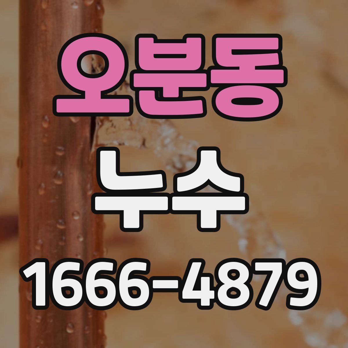 오분동 누수