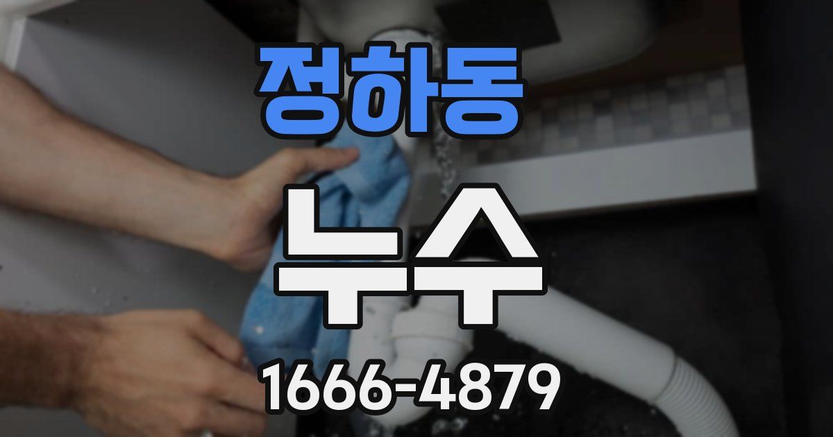 정하동 누수