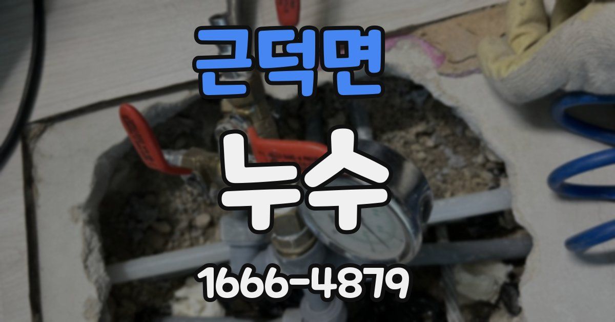 근덕면 누수