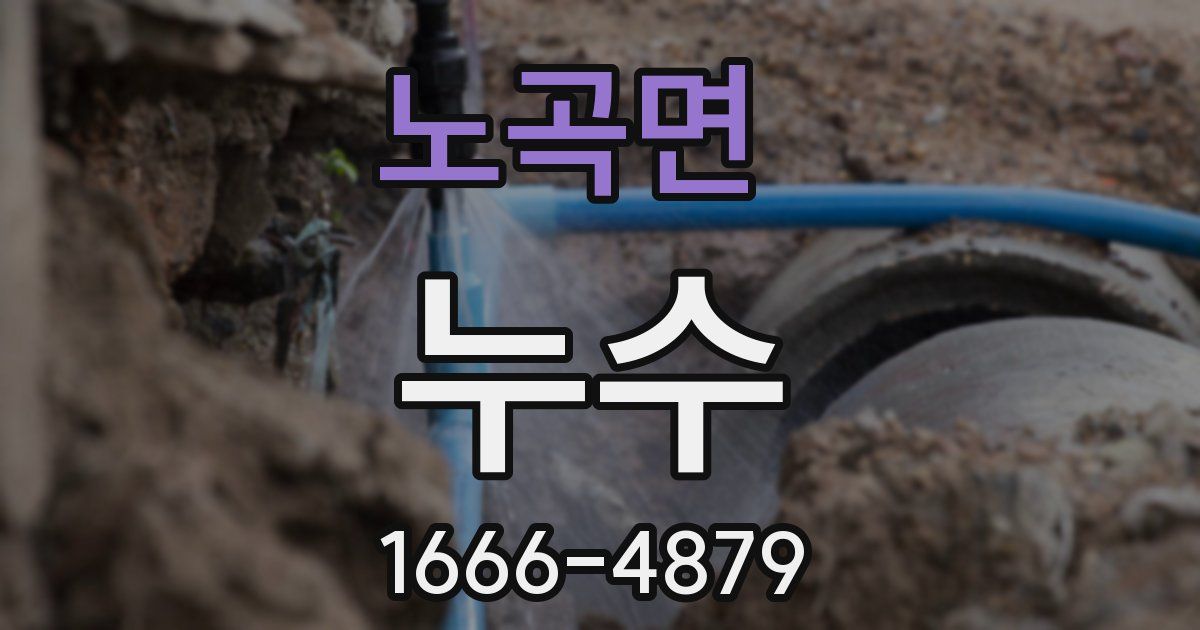 노곡면 누수