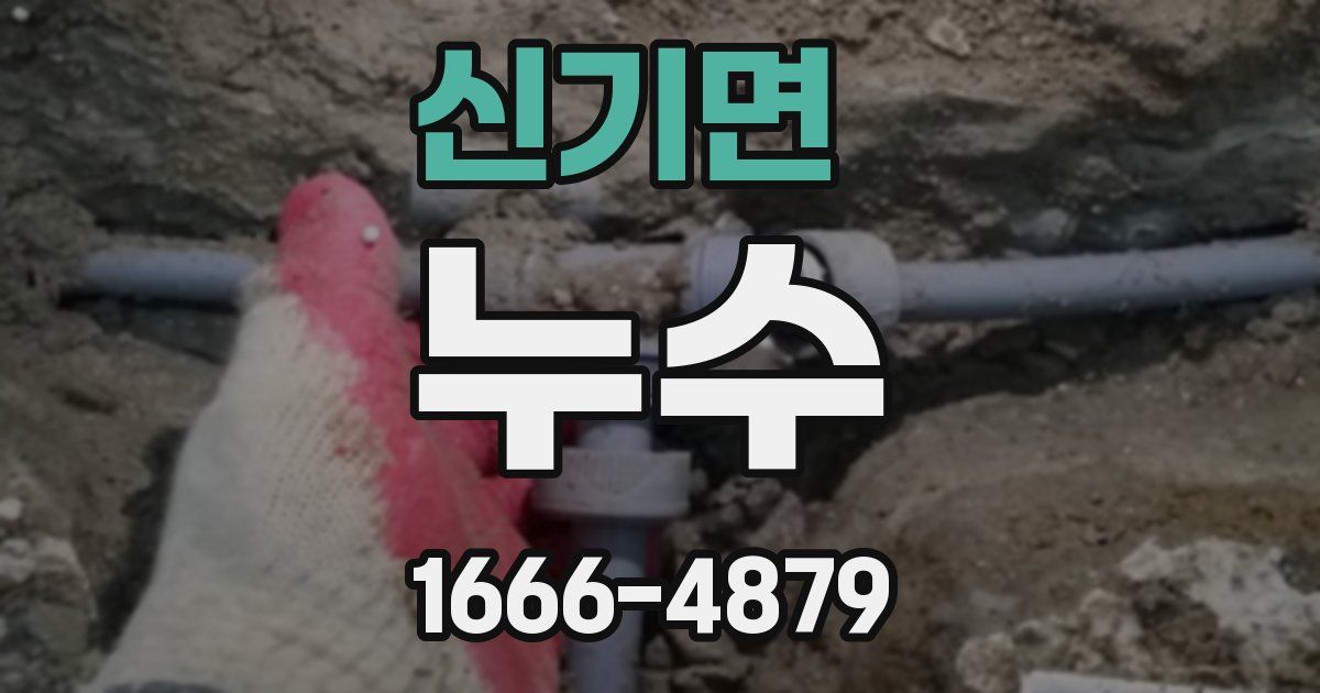 신기면 누수