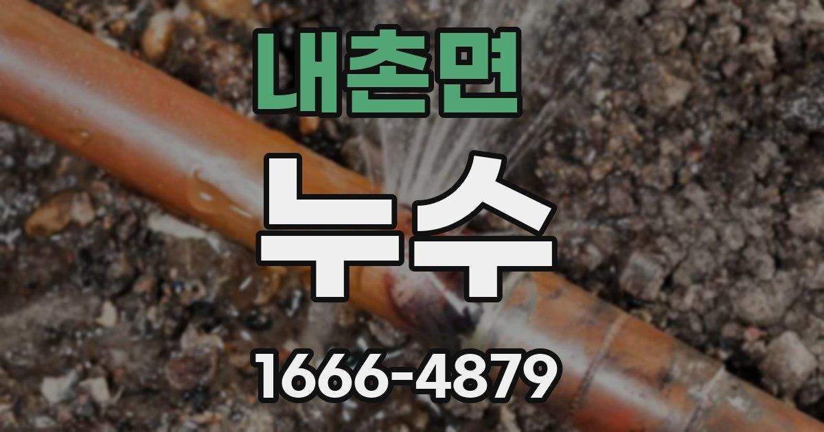 내촌면 누수
