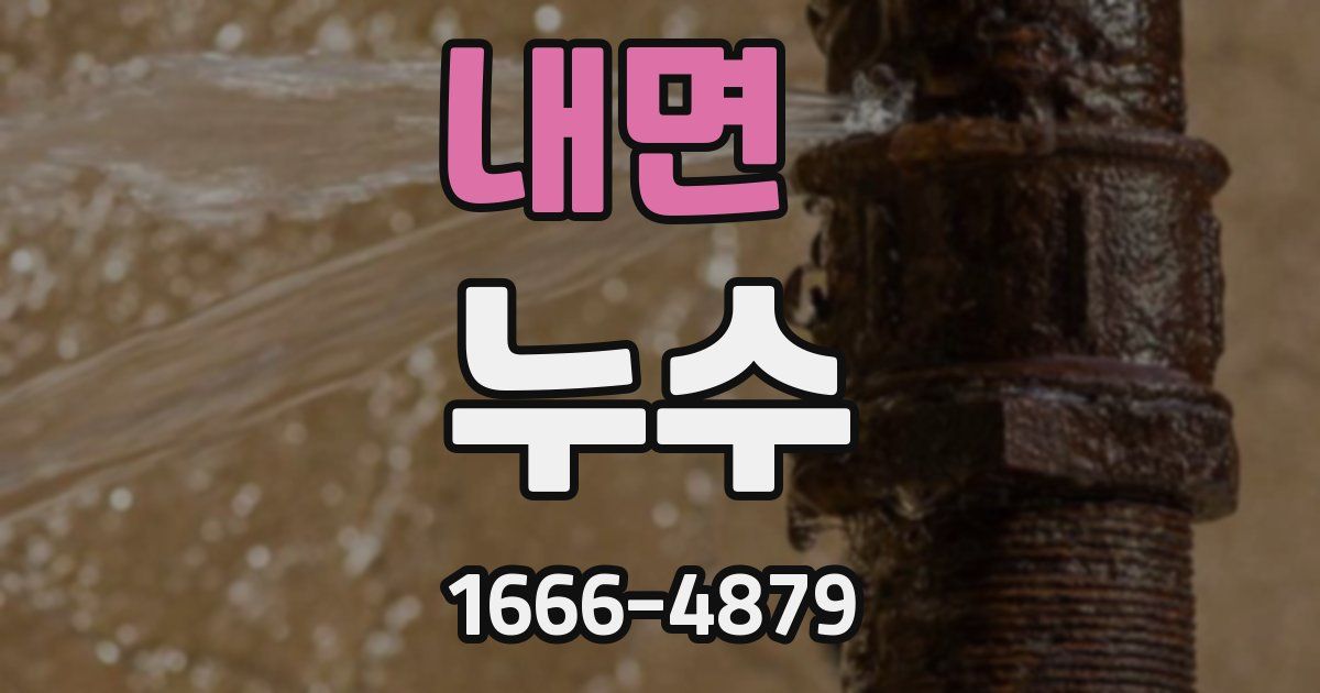 내면 누수