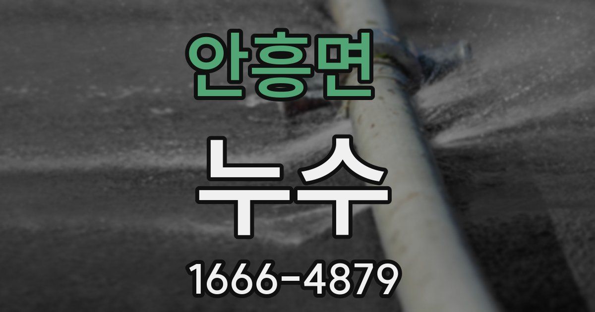 안흥면 누수