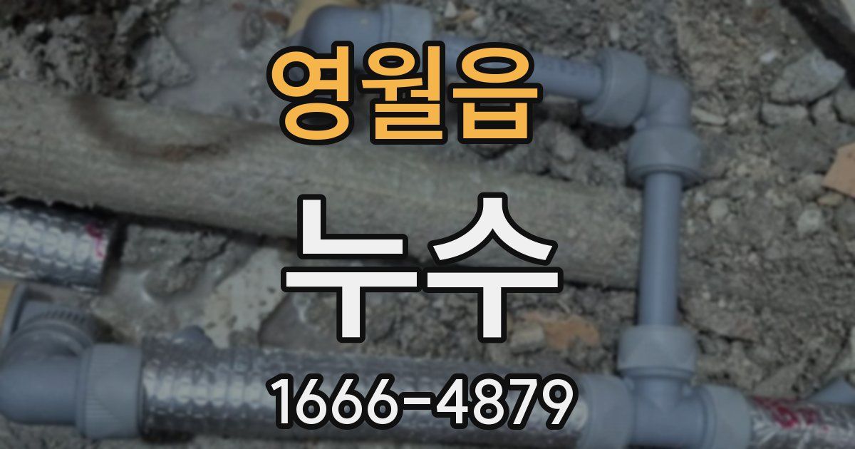 영월읍 누수