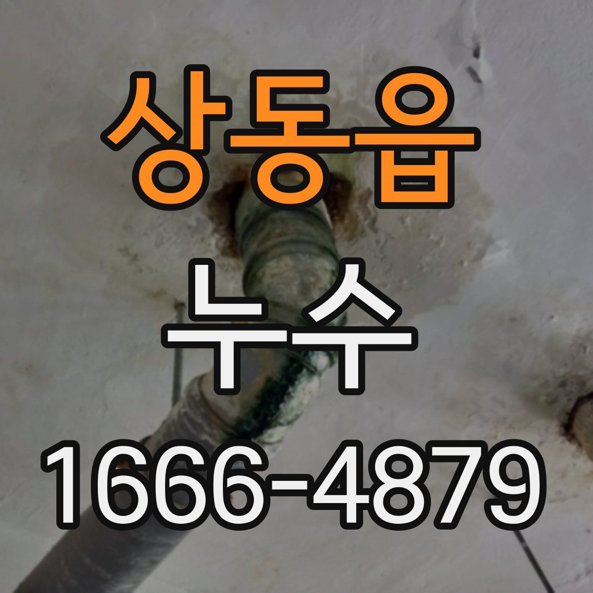 상동읍 누수