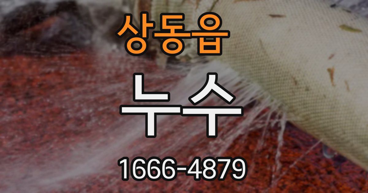 상동읍 누수