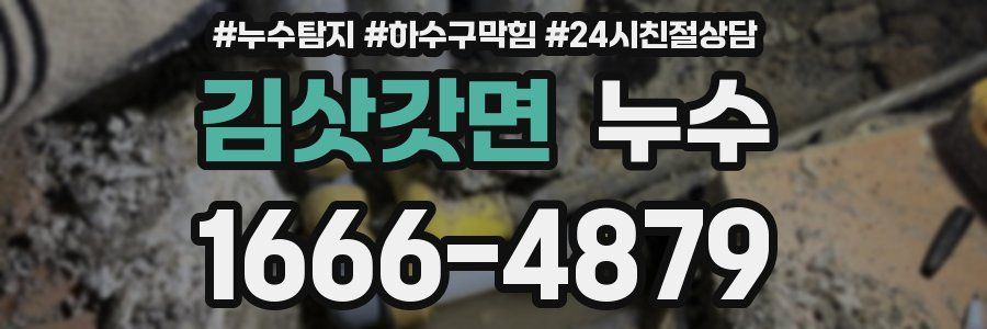 김삿갓면 누수