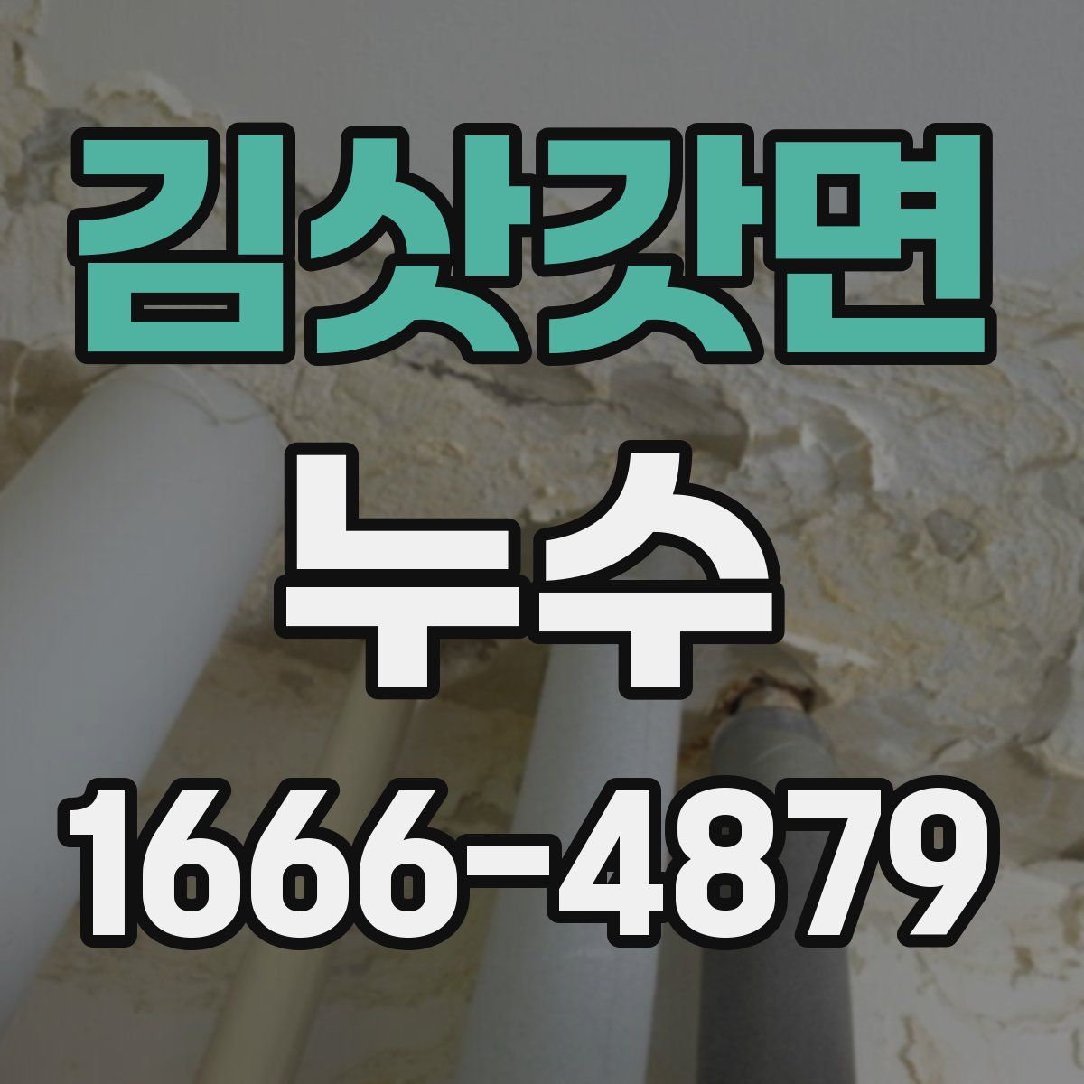 김삿갓면 누수