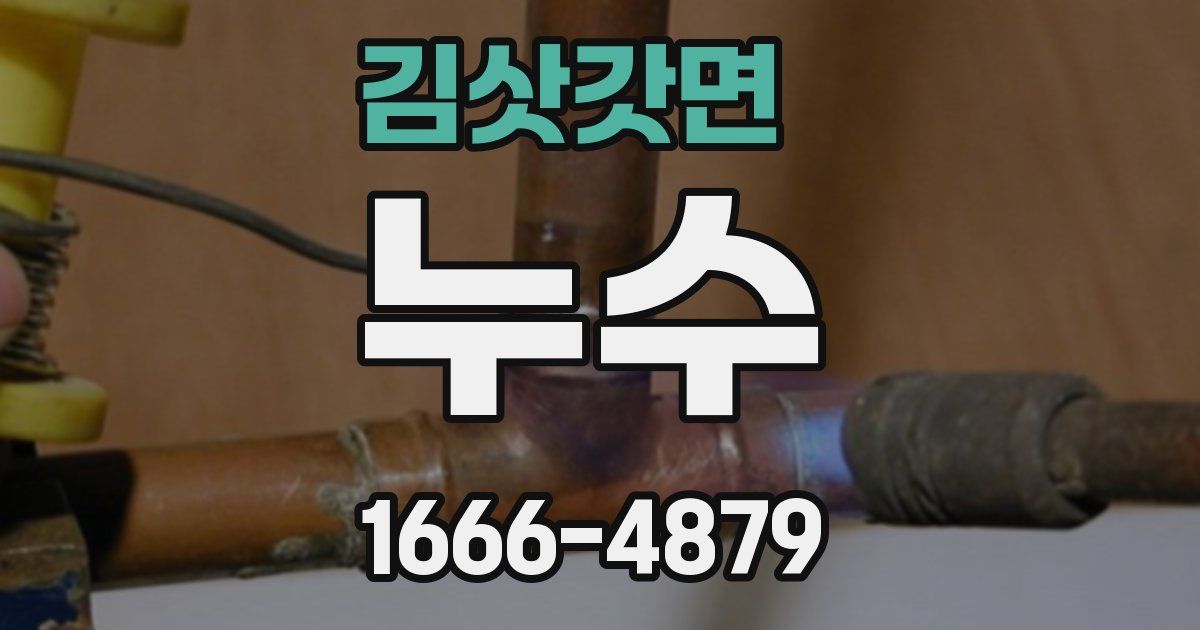 김삿갓면 누수