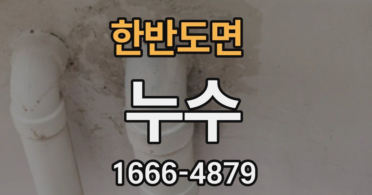 한반도면 누수