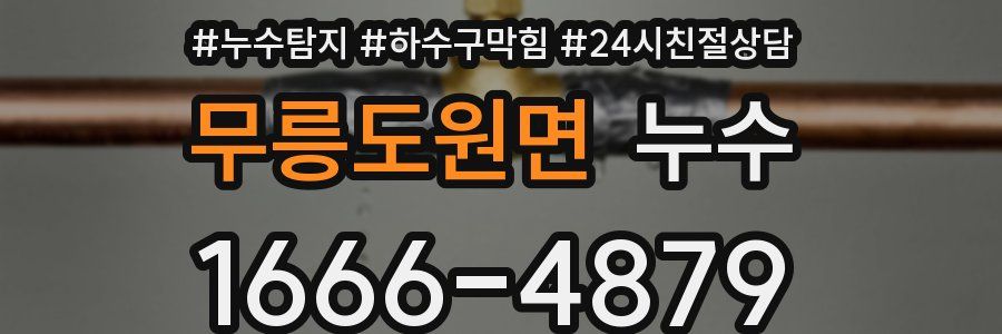무릉도원면 누수