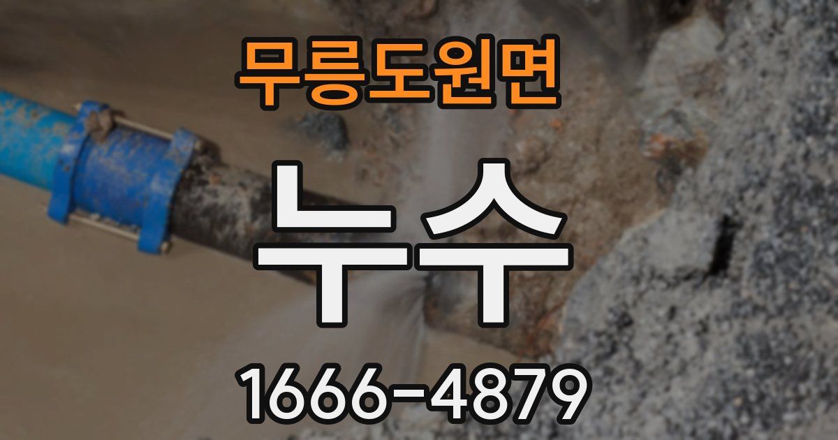 무릉도원면 누수
