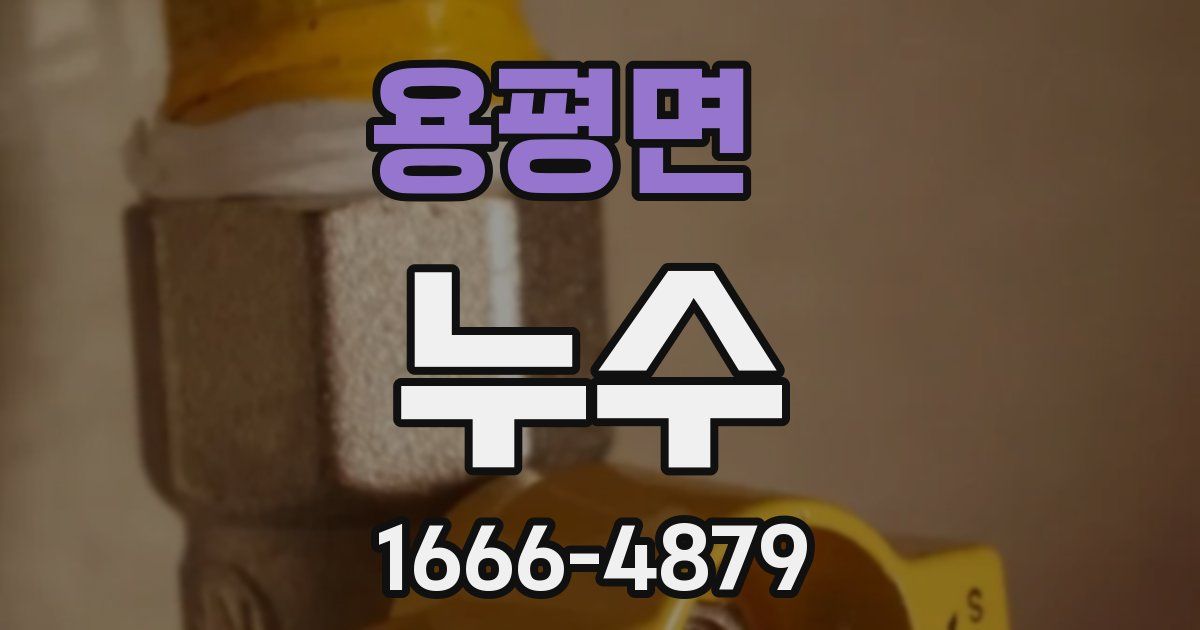 용평면 누수