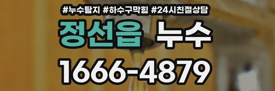 정선읍 누수