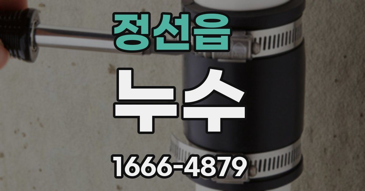 정선읍 누수