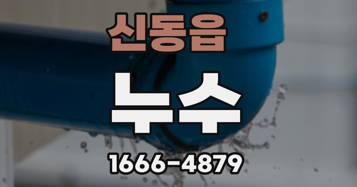 신동읍 누수